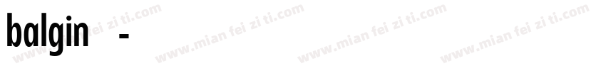 balgin免费下载字体转换