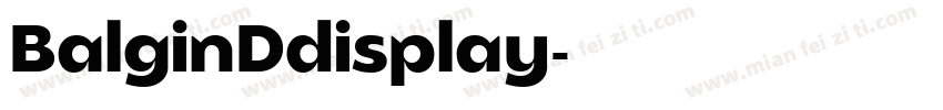 BalginDdisplay字体转换
