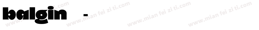 balgin免费下载字体转换