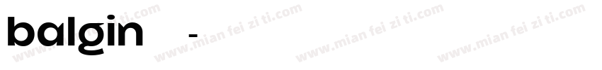 balgin免费下载字体转换