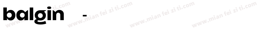 balgin免费下载字体转换