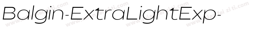 Balgin-ExtraLightExp字体转换