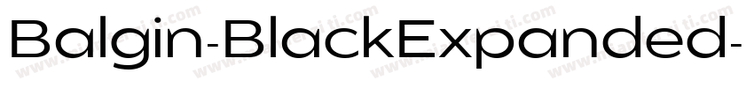 Balgin-BlackExpanded字体转换
