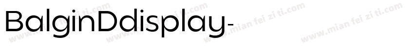 BalginDdisplay字体转换
