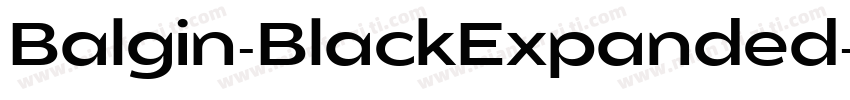 Balgin-BlackExpanded字体转换