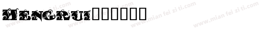 Hengrui字体转换