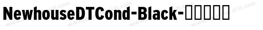 NewhouseDTCond-Black字体转换