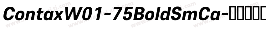 ContaxW01-75BoldSmCa字体转换