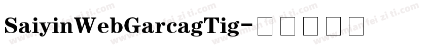 SaiyinWebGarcagTig字体转换