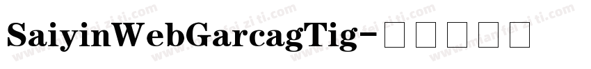 SaiyinWebGarcagTig字体转换