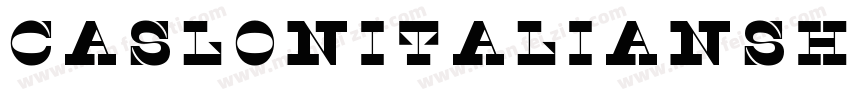 CaslonItalianShaded-字体转换
