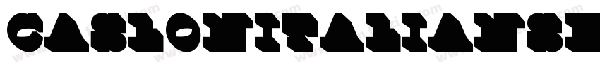 CaslonItalianShaded-字体转换