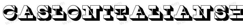 CaslonItalianShaded-字体转换