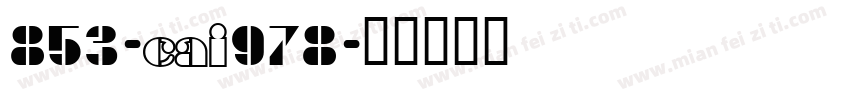853-CAI978字体转换