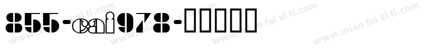 855-CAI978字体转换