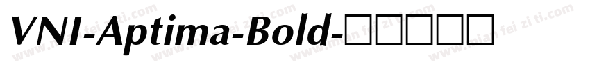 VNI-Aptima-Bold字体转换