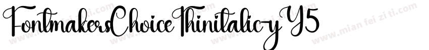 FontmakersChoiceThinitalic-yY5Y字体转换