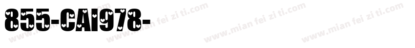 855-CAI978字体转换