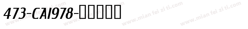473-CAI978字体转换
