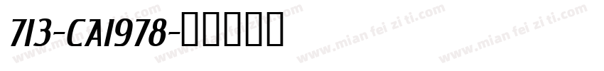 713-CAI978字体转换