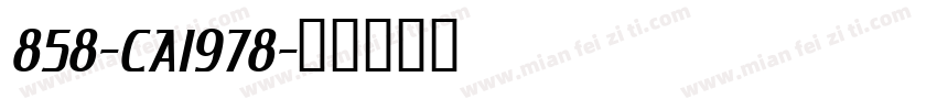 858-CAI978字体转换