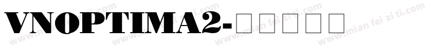 VnOptima2字体转换