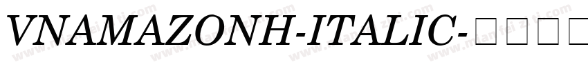 VNAmazonH-Italic字体转换
