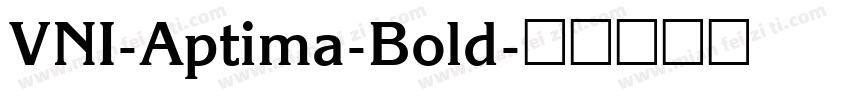 VNI-Aptima-Bold字体转换