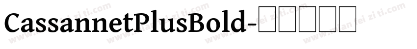 CassannetPlusBold字体转换
