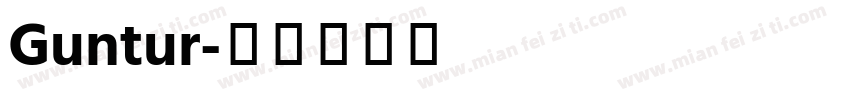 Guntur字体转换