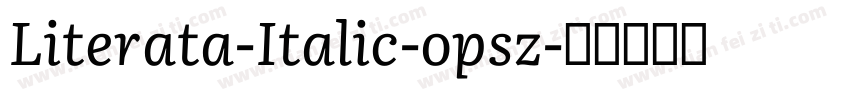 Literata-Italic-opsz字体转换