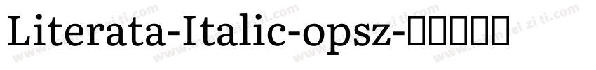 Literata-Italic-opsz字体转换