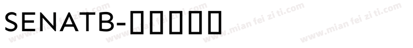 SENATB字体转换