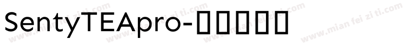 SentyTEApro字体转换