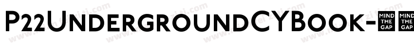 P22UndergroundCYBook字体转换