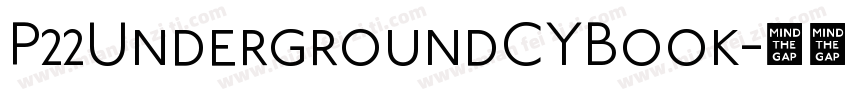 P22UndergroundCYBook字体转换