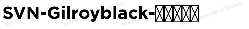 SVN-Gilroyblack字体转换