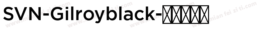 SVN-Gilroyblack字体转换