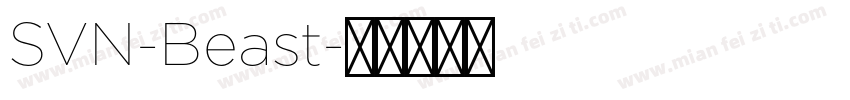 SVN-Beast字体转换