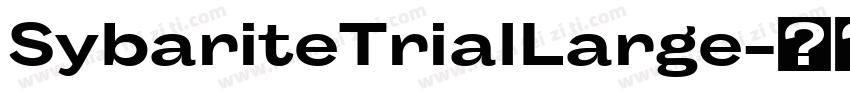 SybariteTrialLarge字体转换