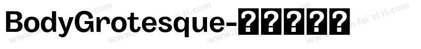 BodyGrotesque字体转换