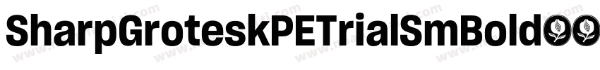 SharpGroteskPETrialSmBold字体转换