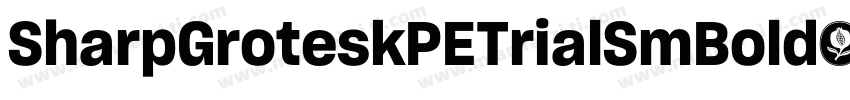 SharpGroteskPETrialSmBold字体转换