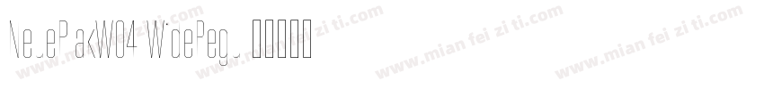 NeuePlakW04-WideRegu字体转换