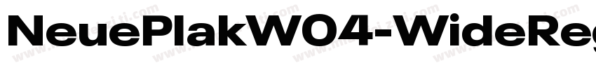 NeuePlakW04-WideRegu字体转换