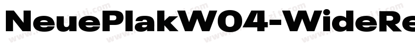 NeuePlakW04-WideRegu字体转换