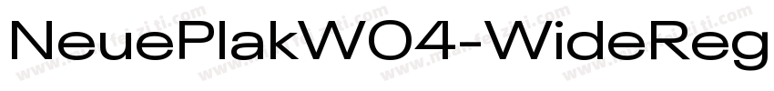 NeuePlakW04-WideRegu字体转换