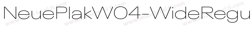 NeuePlakW04-WideRegu字体转换
