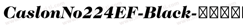 CaslonNo224EF-Black字体转换