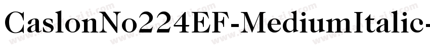 CaslonNo224EF-MediumItalic字体转换